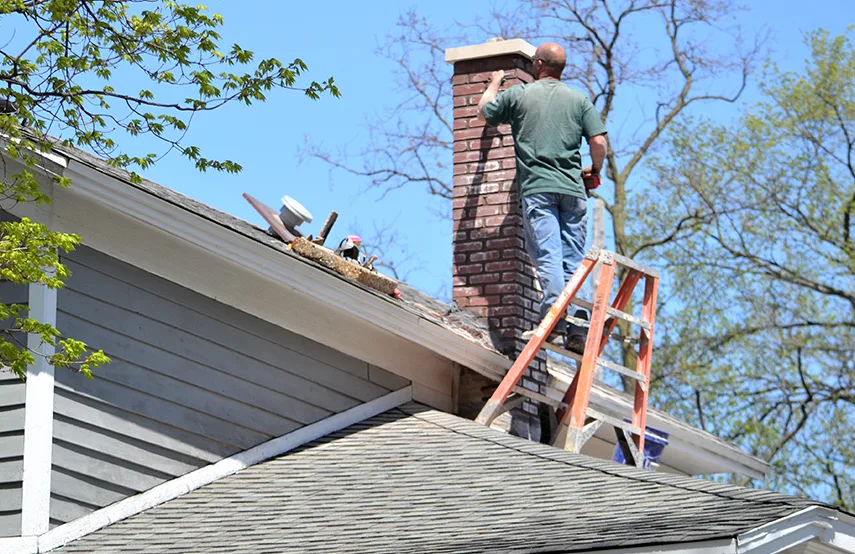 Chimney & Fireplace Inspections Services in Eden Prairie, MN
